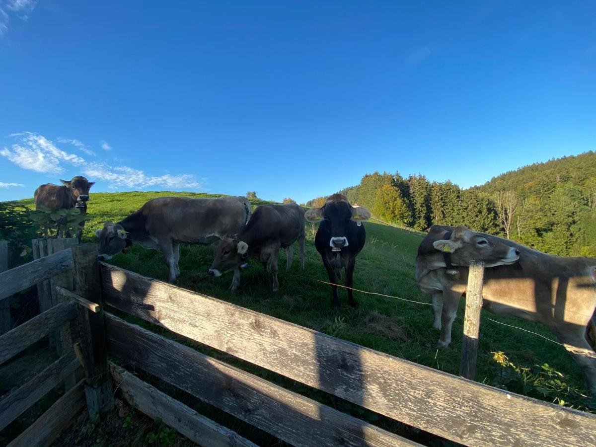 Ferienwohnung Bergblick Wangen Im Allgaeu Mit Garten, 2022 Komplett Renoviert ภายนอก รูปภาพ