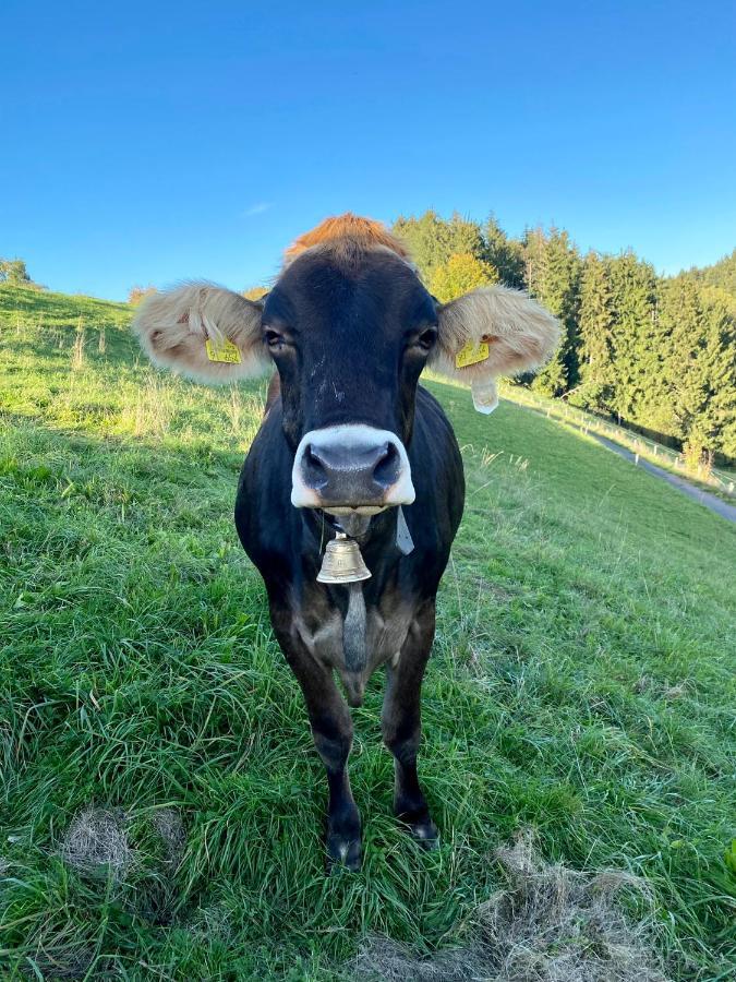 Ferienwohnung Bergblick Wangen Im Allgaeu Mit Garten, 2022 Komplett Renoviert ภายนอก รูปภาพ